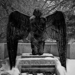heavenlyquinck