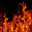 FireBlooms