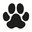 THE BIG DOGS