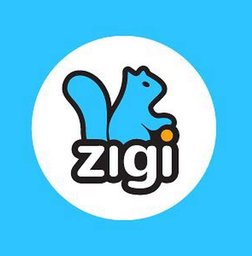ZIGI