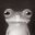 FrogSlave1