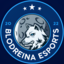Blodreina Esports