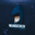 Wanderer Esports