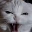 We are Hungry G_G