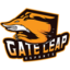 Gate Leap Esport