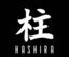 Team HASHIRA