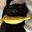 Devolium (was deleted at: 2018-10-23T16:10:33.9152433Z)