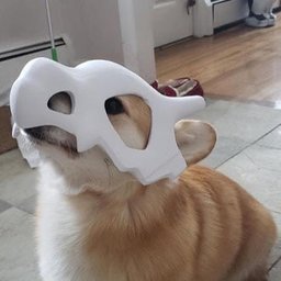 CaptainMajor