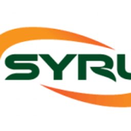 Syrek123456