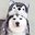 Huskeroo