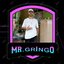 MR.GRINGO