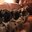 PETUME E AMIGOS (was deleted at: 2024-08-24T20:23:20.0321838Z)