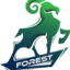Forest esports