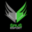 Šavš esport