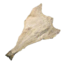 Bacalhau