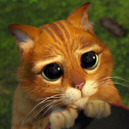 DRINK VODKA WIN DOTKA