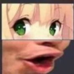 Codint