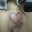 Annerys