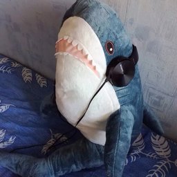 Morti4
