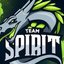 TEAM Spirit 2