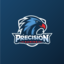 Precision-Gaming