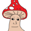 Fungus#