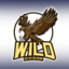 WILD DIVISION