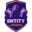 Entity Dota2 team