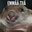 Emmää tiiä