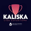 Kaliska Liga Esportowa