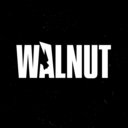 Walnut&SFTO-esports