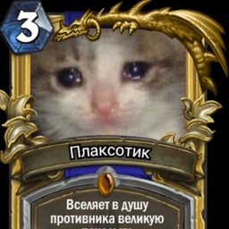 ?????????5558