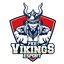 FKE Vikings Academy