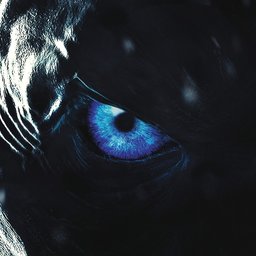 Wh1teWalker