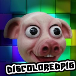 DiscoloredPig#1742