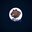 Grizzly_like