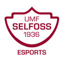Selfoss eSports
