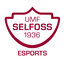 Selfoss eSports