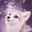Wolfy_Meow