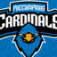 PUC Cardinals LOL