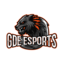 GDE eSports