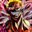 panchri01