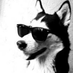 Dosar
