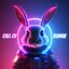 CallOfBunnie