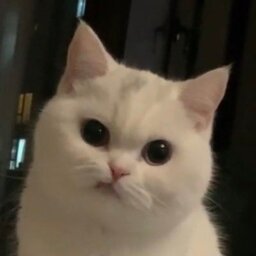 Kejefsi
