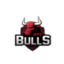 NPLAY GTZ BULLS.