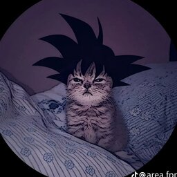 This Is Riki