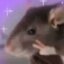 gls ratas (was deleted at: 2024-03-05T16:43:55.5410065Z)