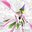 Lolilander#2968