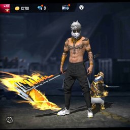 miguel151122@gmail.com